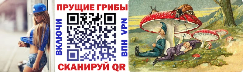 Галлюциногенные грибы Magic Shrooms  хочу   KRAKEN зеркало  Нефтегорск 